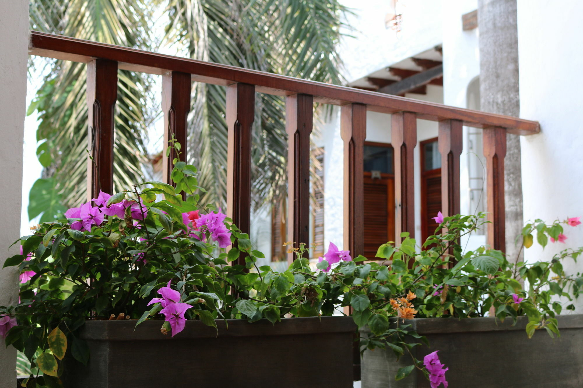 Palenque Casa Hotel By Hmc - Cartagena — Fotos 1
